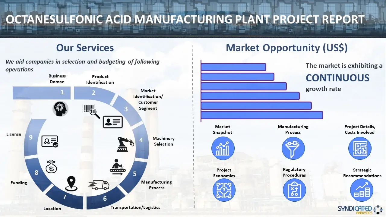Octanesulfonic Acid Manufacturing Plant Project Report